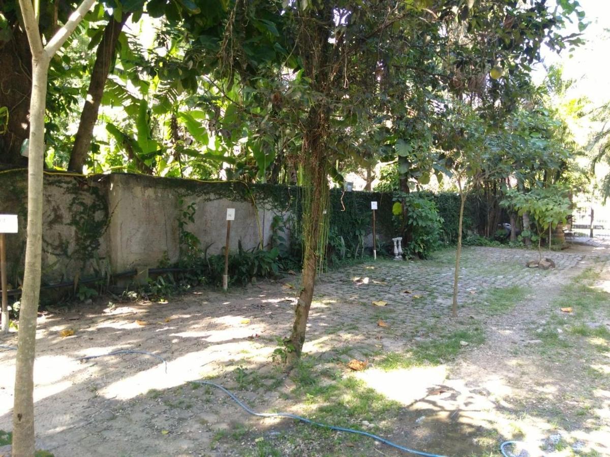 Rio Natureza Apart 111 Rio de Janeiro Exterior photo